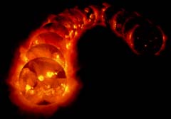 12 X-ray images of the Sun's atmospher