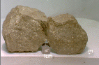 A meteorite type called Chondrite