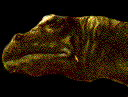 Dinosaur to Skeleton:  "What, me worry?"