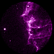 Cygnus supernova remnant