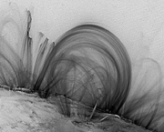 Figure 3.2: Magnetic loops on the surface of the sun.