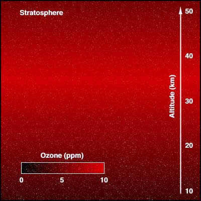 Ozone Distribution in the Stratosphere