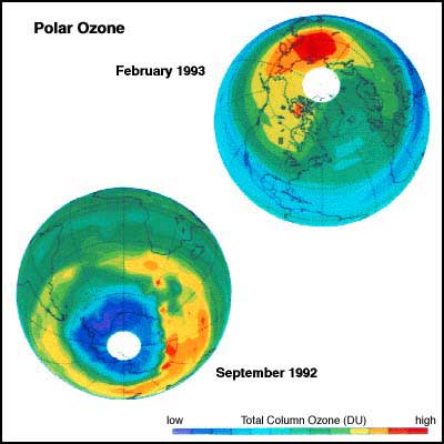 Ozone Over the Poles