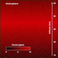 Ozone Distribution in the Stratosphere