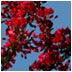 Trading Stories about the Seasons