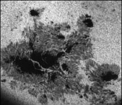 Sunspot image from Big Bear Observatory