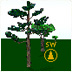 Starry Night Software 2.1.3 and Guide