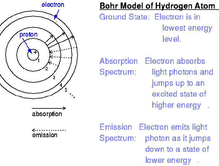 How Bohr model of hydrogen interacts with radiation