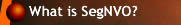 What is SegNVO
