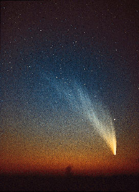Image of Comet West