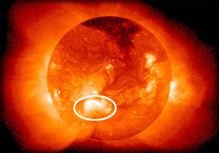 An image of the sun showing x-ray active regions
