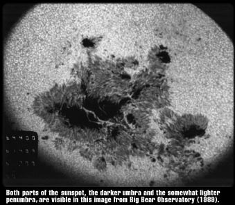 Image from Big Bear Solar Observatory shows the dark umbra surrounded by the paler penumbra of several sunspots