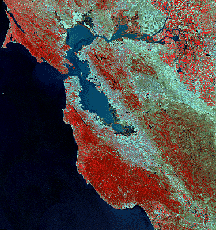 LandSat view of the San Francisco Bay area