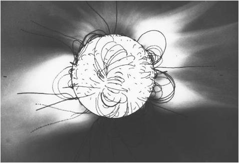 Gray background with a white circle at the center occupying 1/9th of the picture. Black, circular semi-rings extrudes from the circle. Some are very erratic.