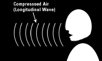 Right half of picture has a figure of a person talking. Waves propogate away from his mouth